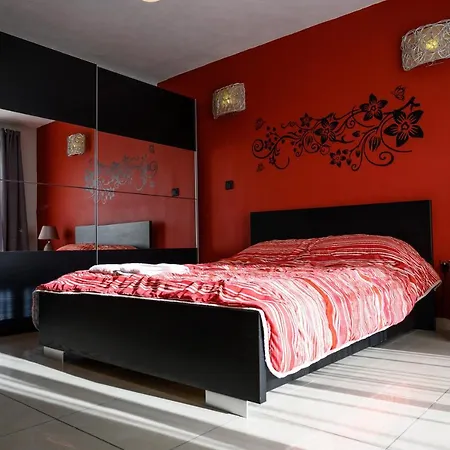 Daffodil * San Pawl il-Baħar