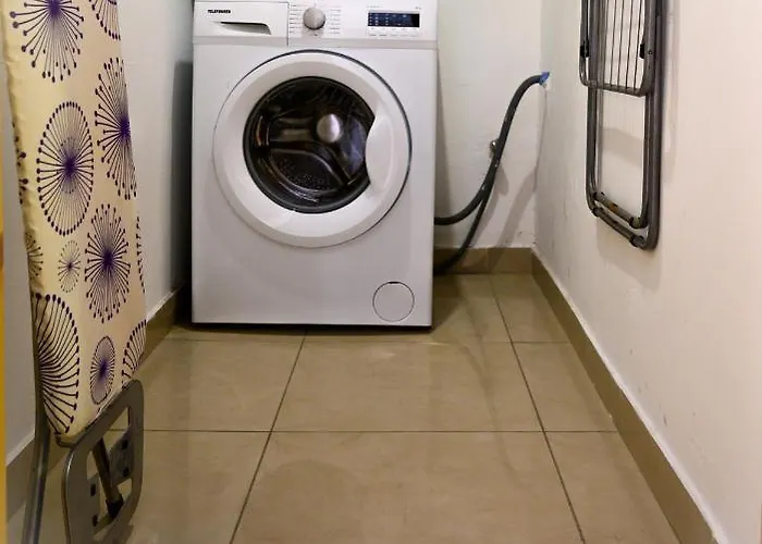 Daffodil * St Paul's Bay