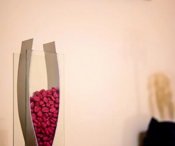 Daffodil St Paul's Bay