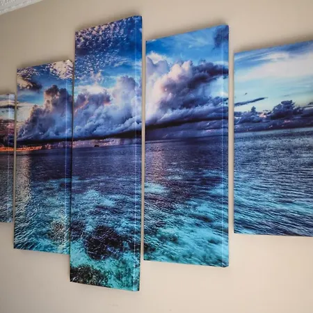 Daffodil * St. Paul's Bay